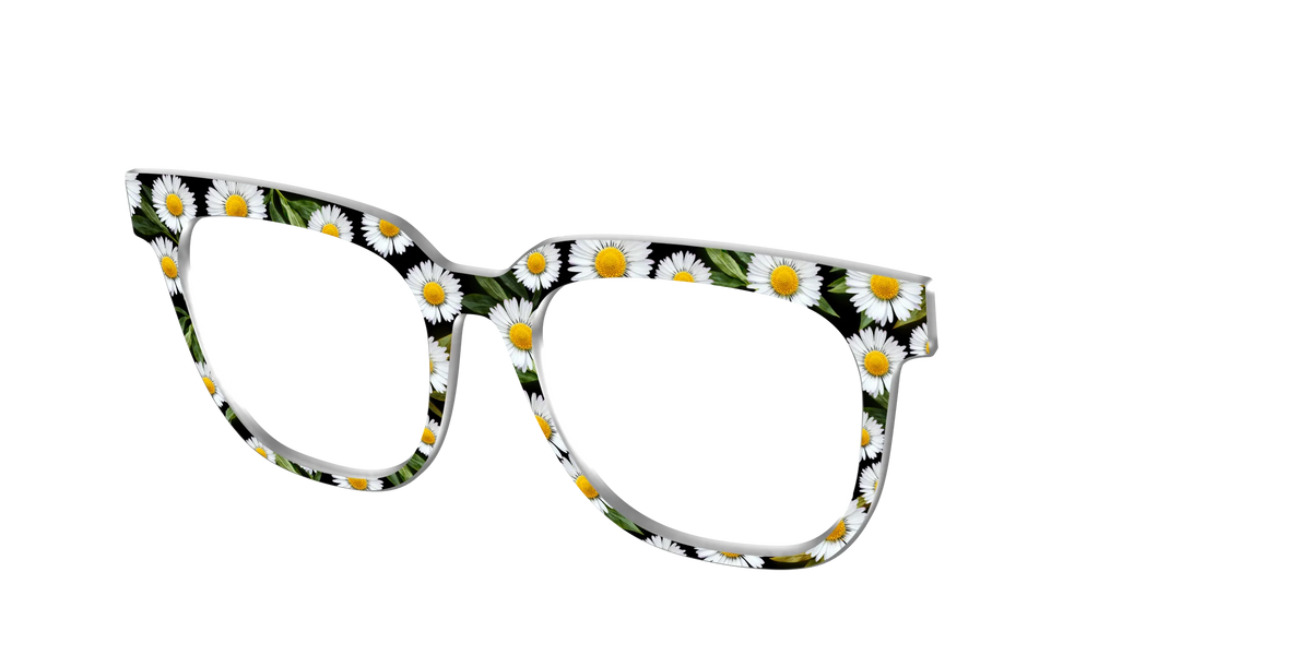 The Delicate Daisies