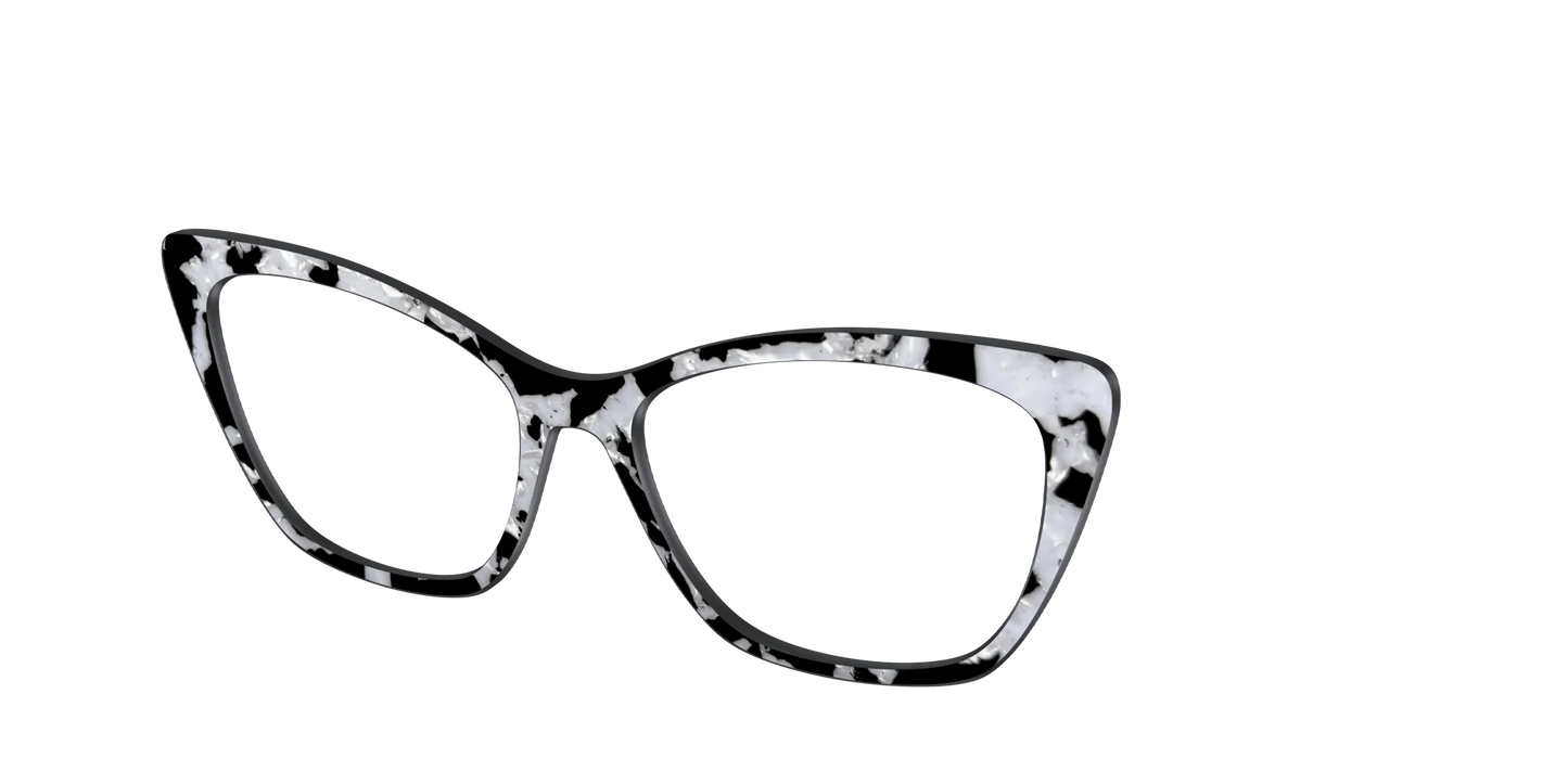 The Black & White Pearl Tortoise