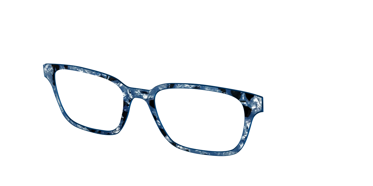 The Midnight Blue Pearl Tortoise