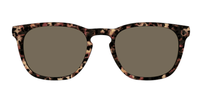 The Polarized Sienna Tortoise Sun Top