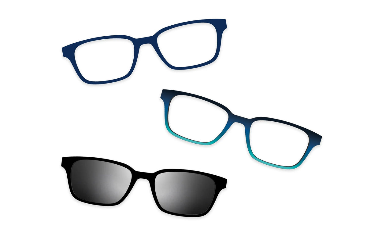Blue Tortoise - Set