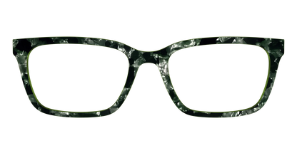 The Olive Pearl Tortoise