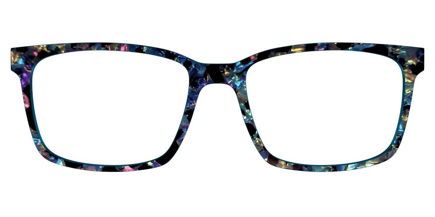 The Black Prismatic Pearl Tortoise