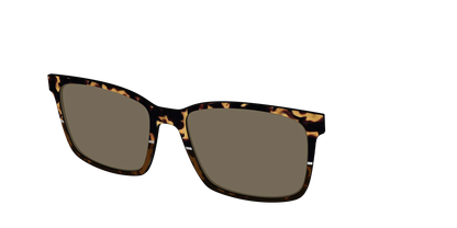 The Polarized Chic Tortoise Split Sun Top