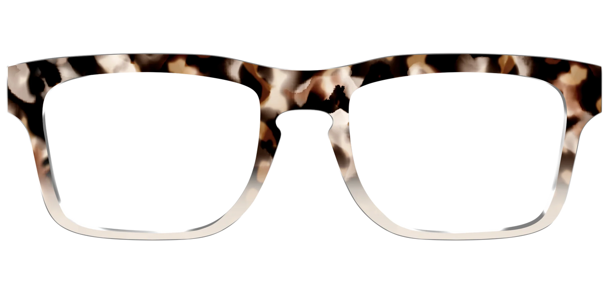 The Vanilla Latte Tortoise