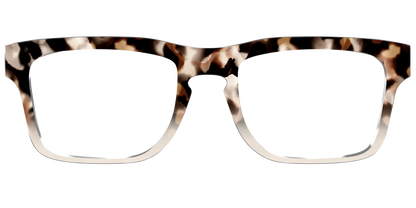 The Vanilla Latte Tortoise