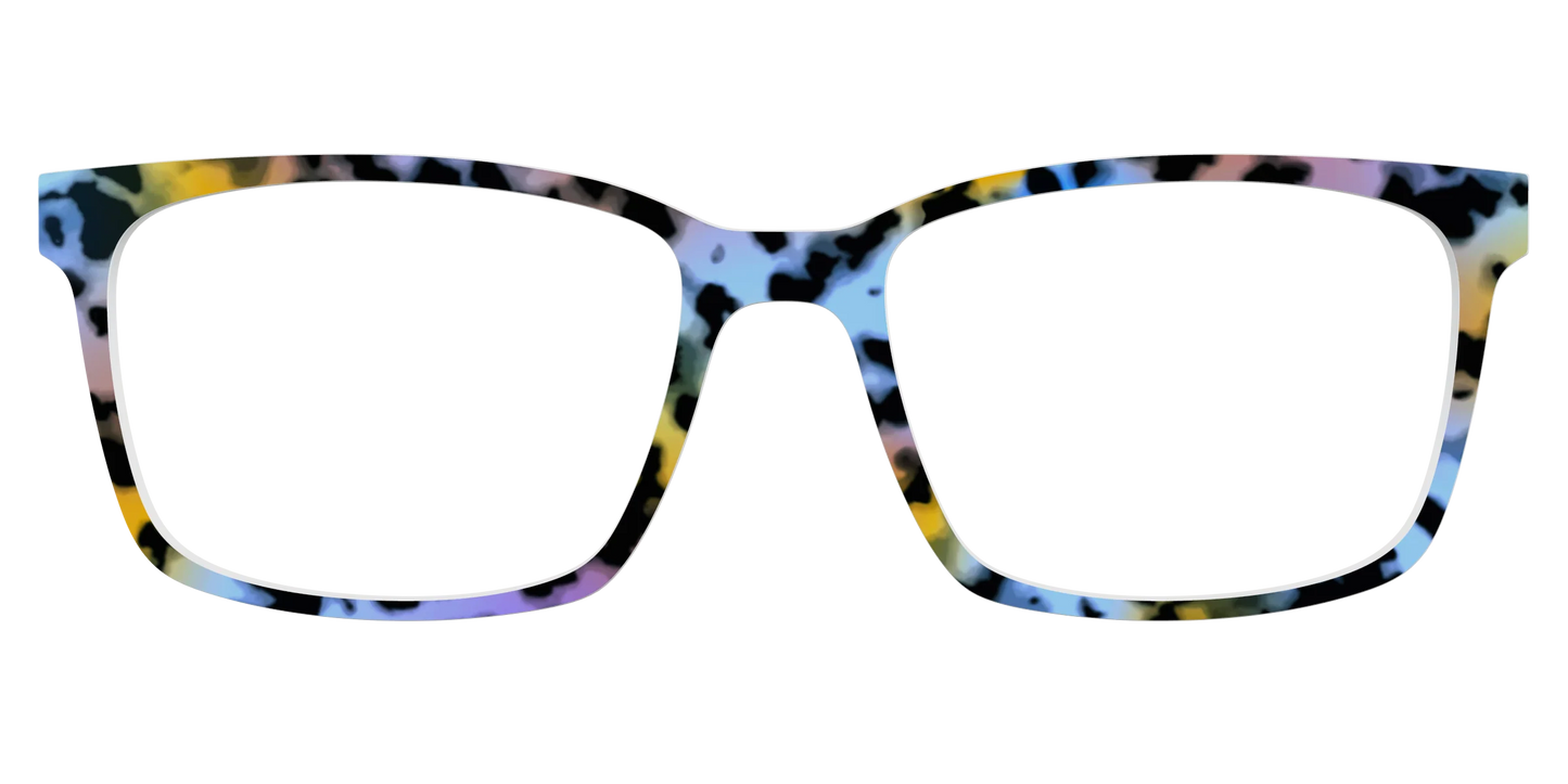 The Positano Tortoise