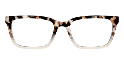 The Vanilla Latte Tortoise