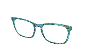 The Teal Turbo Shell