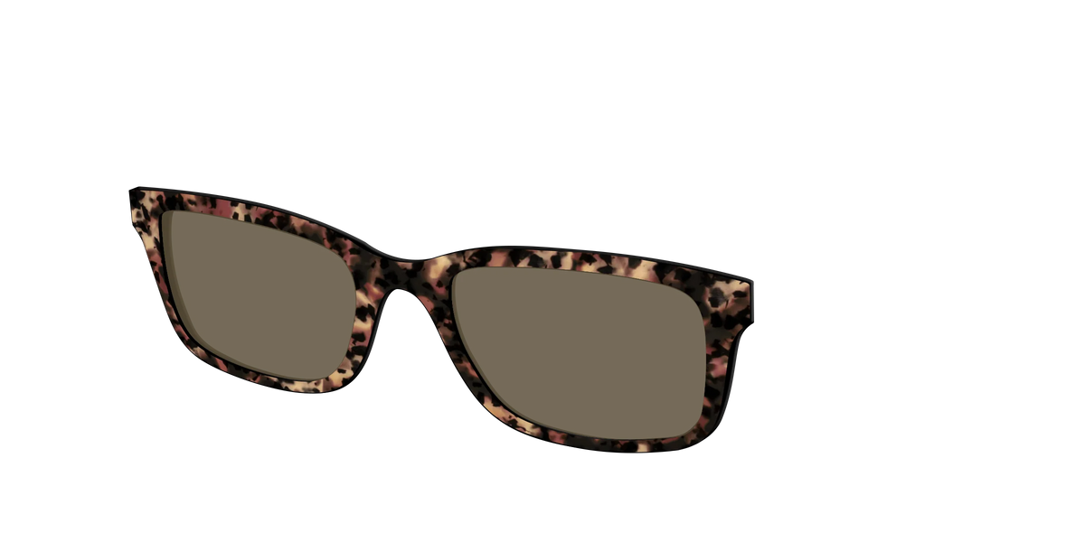 The Polarized Sienna Tortoise Sun Top