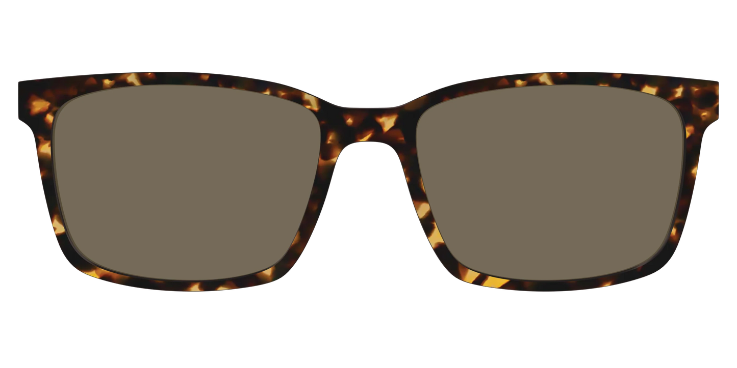 The Non-Polarized Tortoise Sun Top