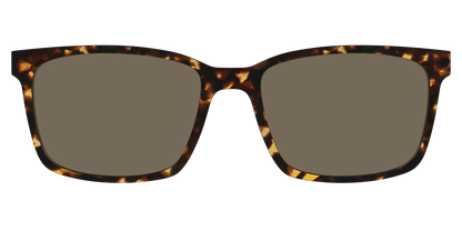 The Non-Polarized Tortoise Sun Top