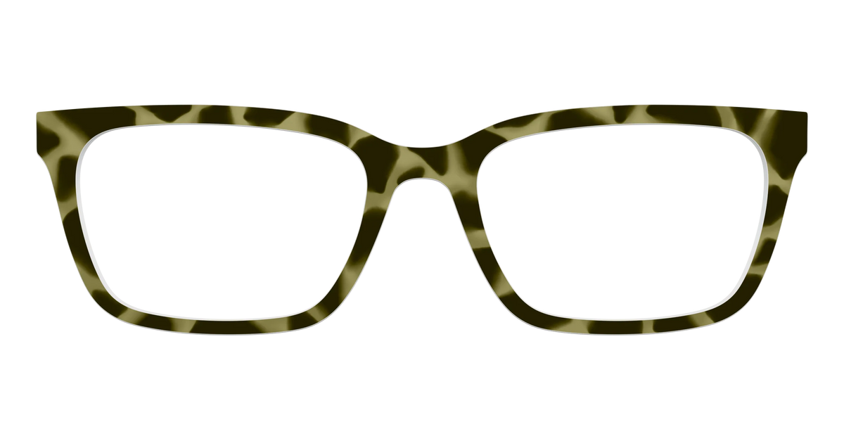 The Olive Tortoise
