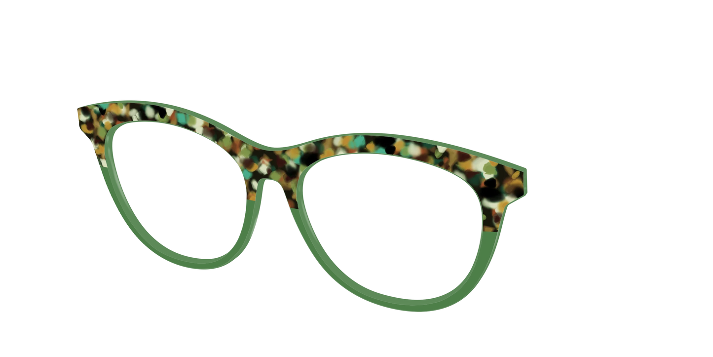 The Forest Tortoise Crystal Split