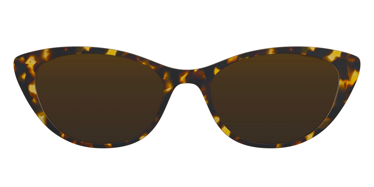 The Polarized Tortoise Sun Top