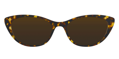 The Polarized Tortoise Sun Top