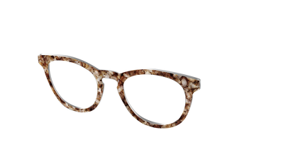 The Sandstone Tortoise