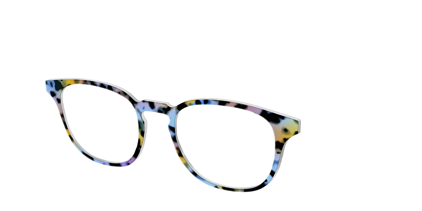 The Positano Tortoise