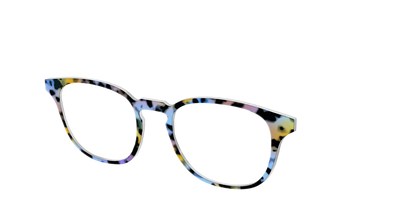 The Positano Tortoise
