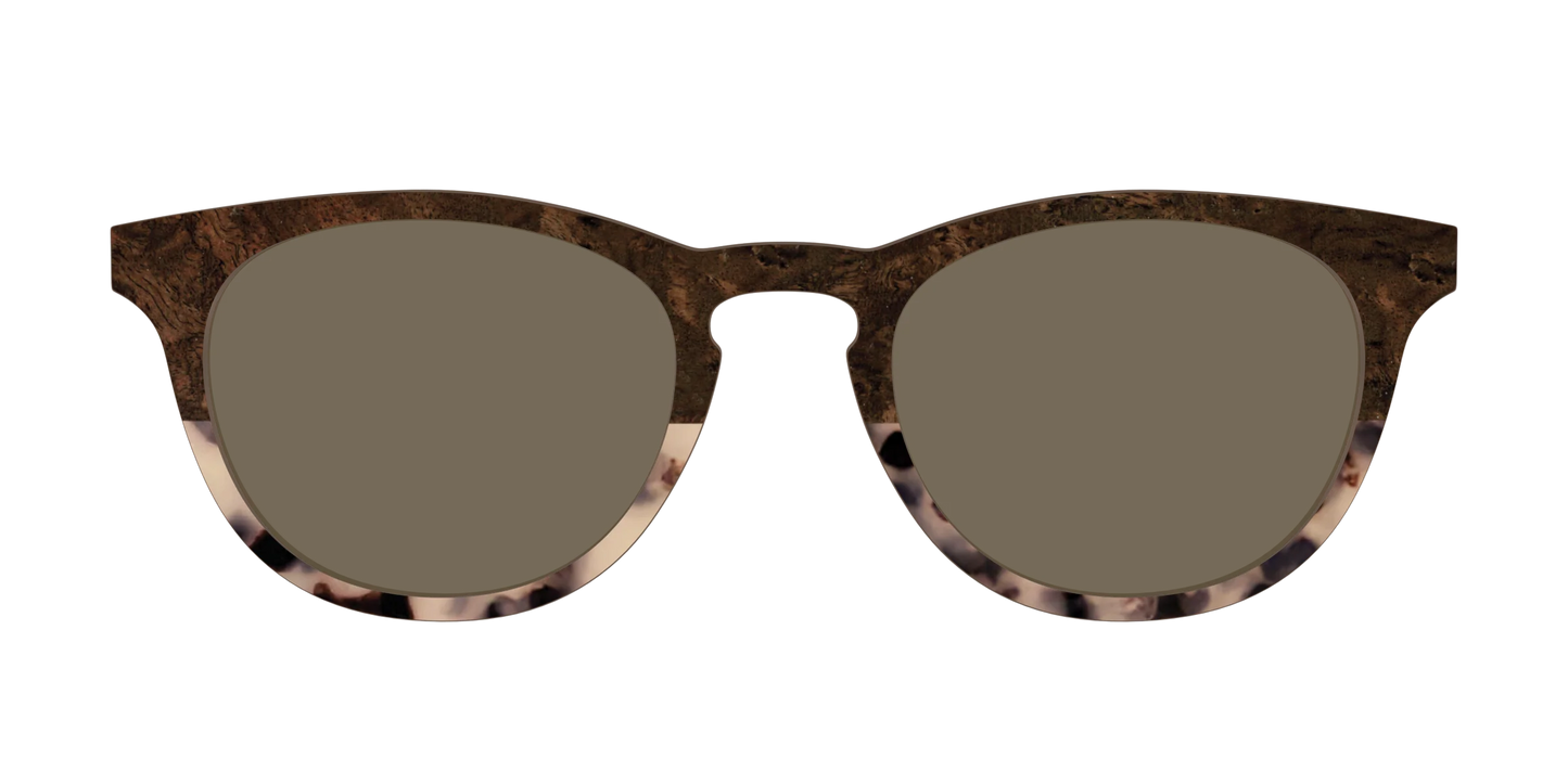 The Polarized Dark Oak Tortoise Split Sun Top