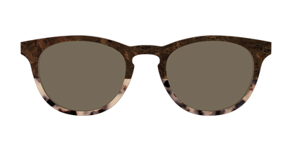 The Polarized Dark Oak Tortoise Split Sun Top