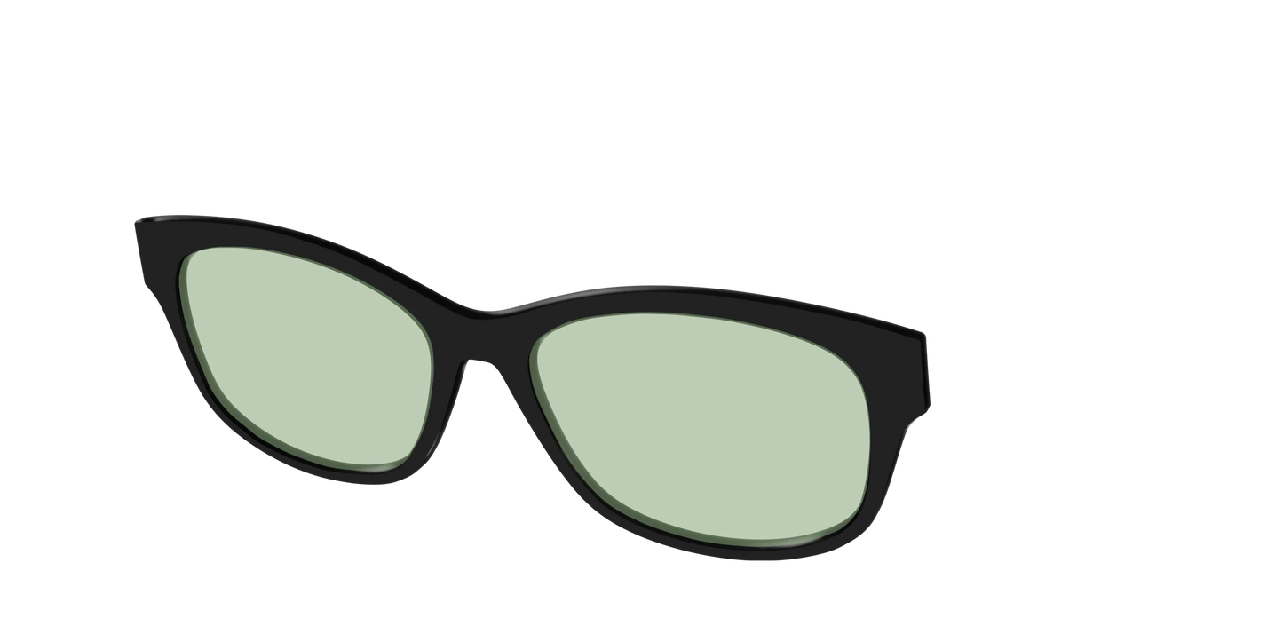 The Black With Sage Green Lens