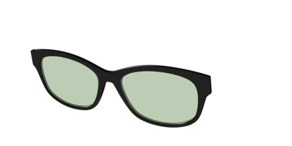 The Black With Sage Green Lens