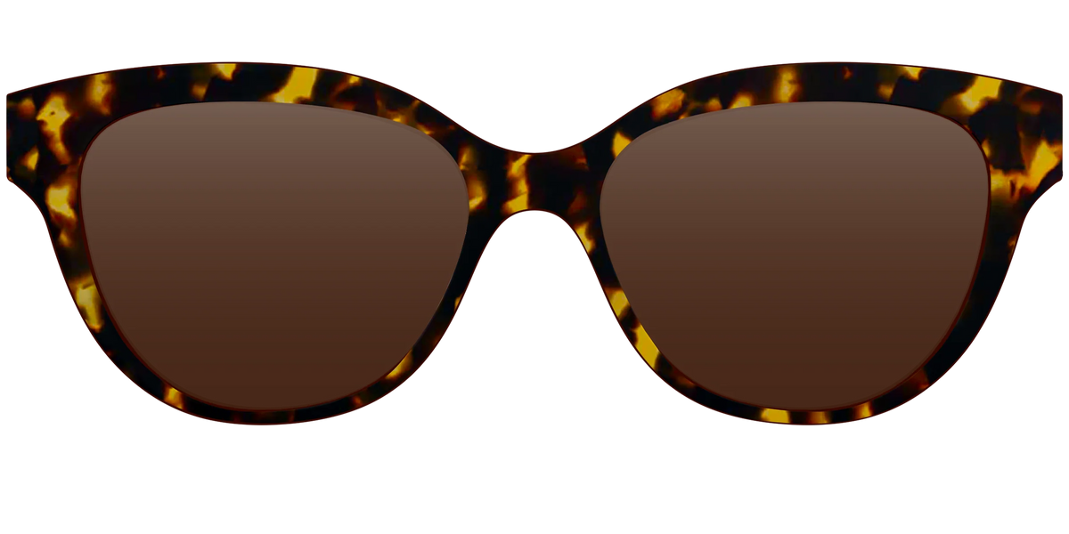 The Polarized Tortoise Sun Top