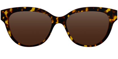 The Polarized Tortoise Sun Top