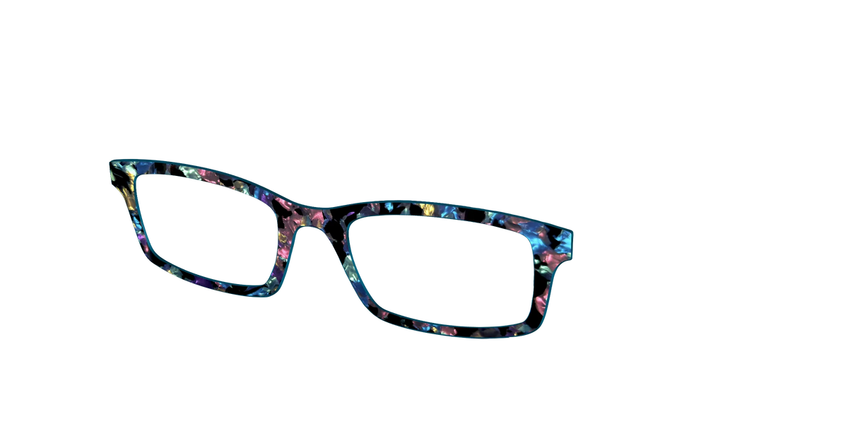 The Black Prismatic Pearl Tortoise