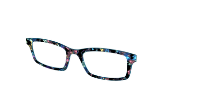 The Black Prismatic Pearl Tortoise