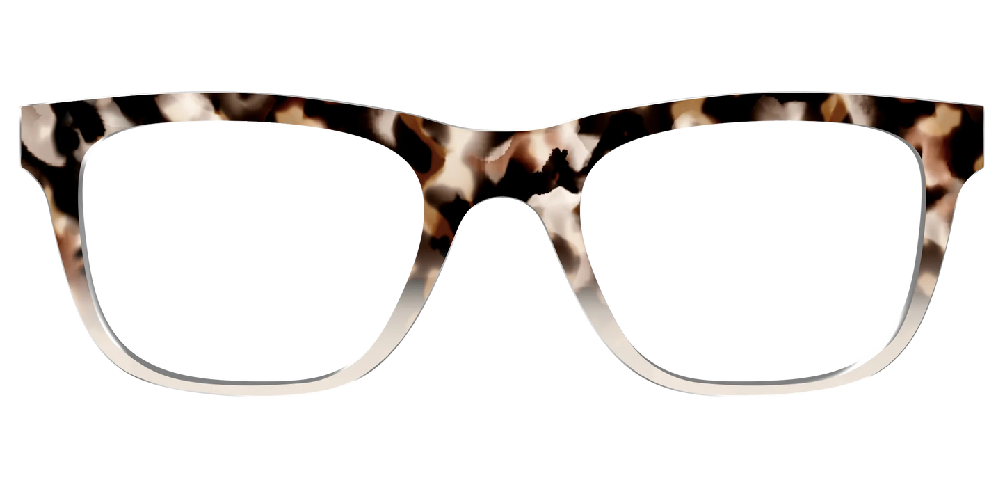 The Vanilla Latte Tortoise