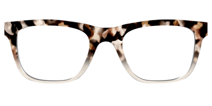 The Vanilla Latte Tortoise