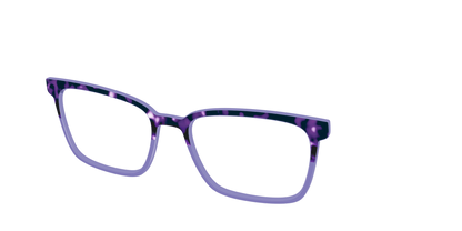 The Iris Tortoise Crystal Split