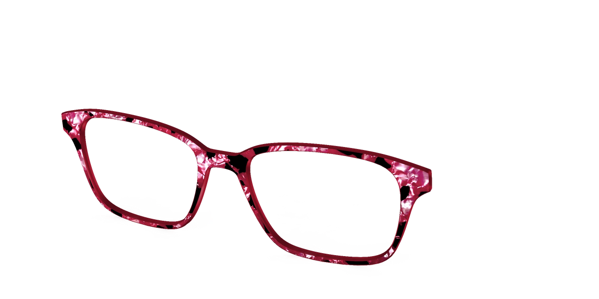 The Raspberry Pearl Tortoise
