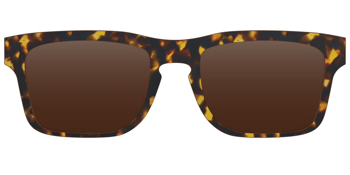 The Polarized Tortoise Sun Top