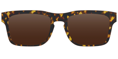 The Polarized Tortoise Sun Top