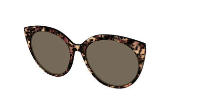 The Polarized Sienna Tortoise Sun Top