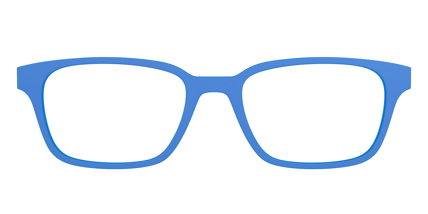 The Cornflower Blue