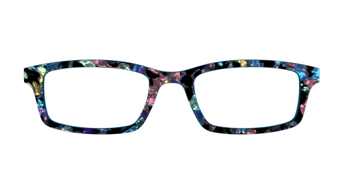 The Black Prismatic Pearl Tortoise