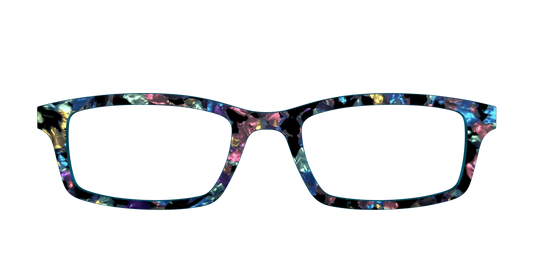 The Black Prismatic Pearl Tortoise