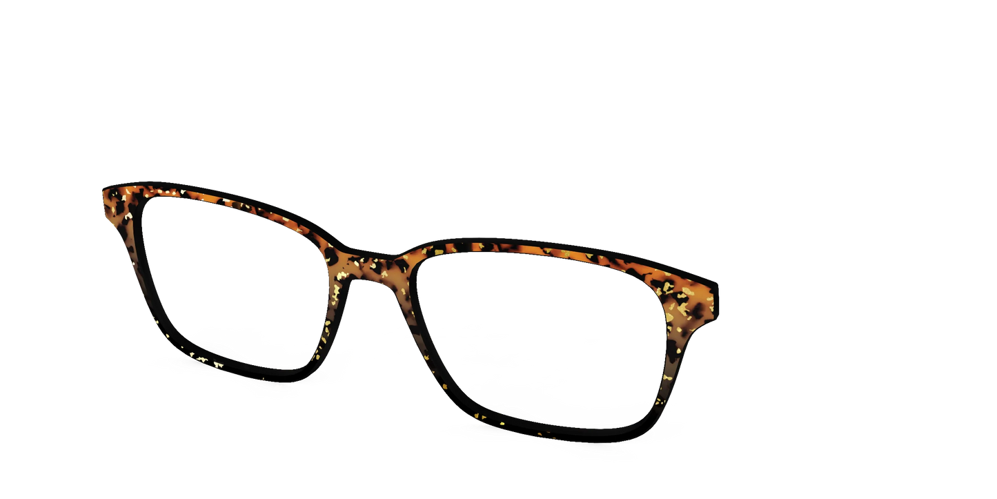The Rustic Gold Leaf Tortoise