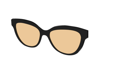 The Black With Umber Brown Lens