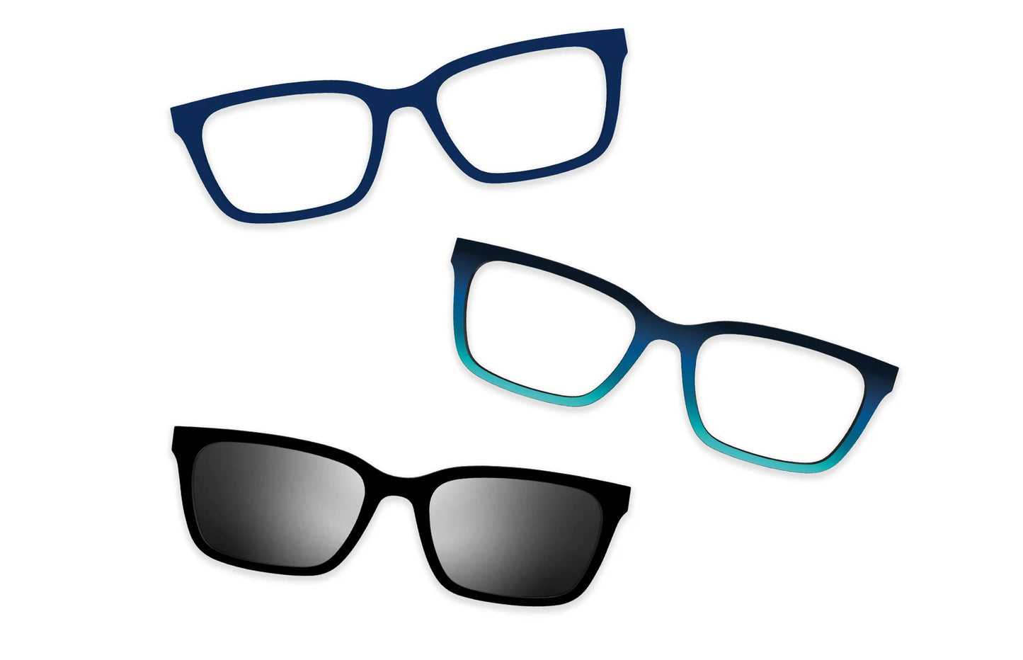 Blue Tortoise - Set