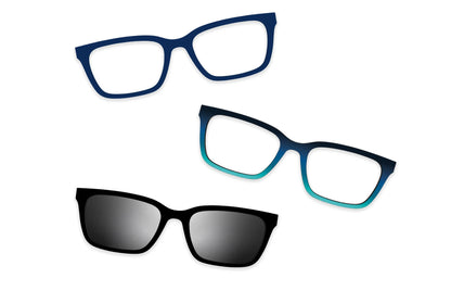 Blue Tortoise - Set