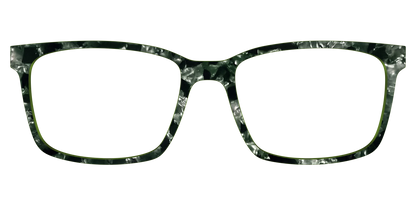 The Olive Pearl Tortoise