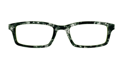 The Olive Pearl Tortoise