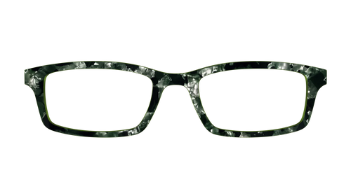 The Olive Pearl Tortoise