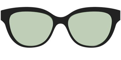 The Black With Sage Green Lens