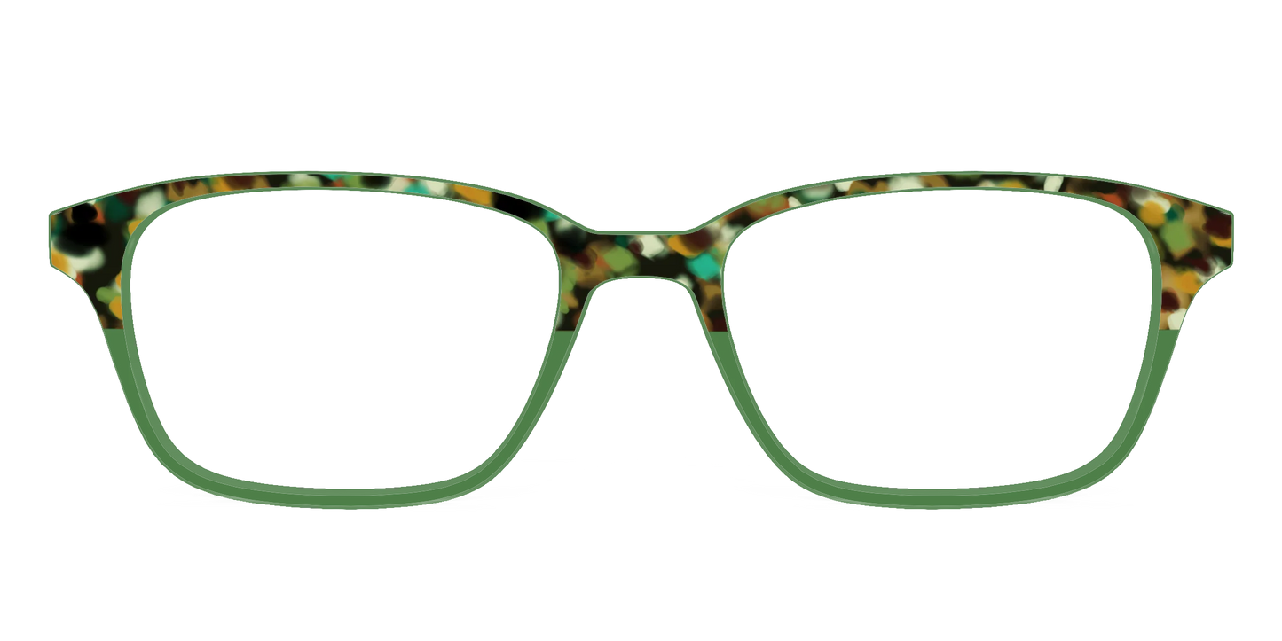 The Forest Tortoise Crystal Split